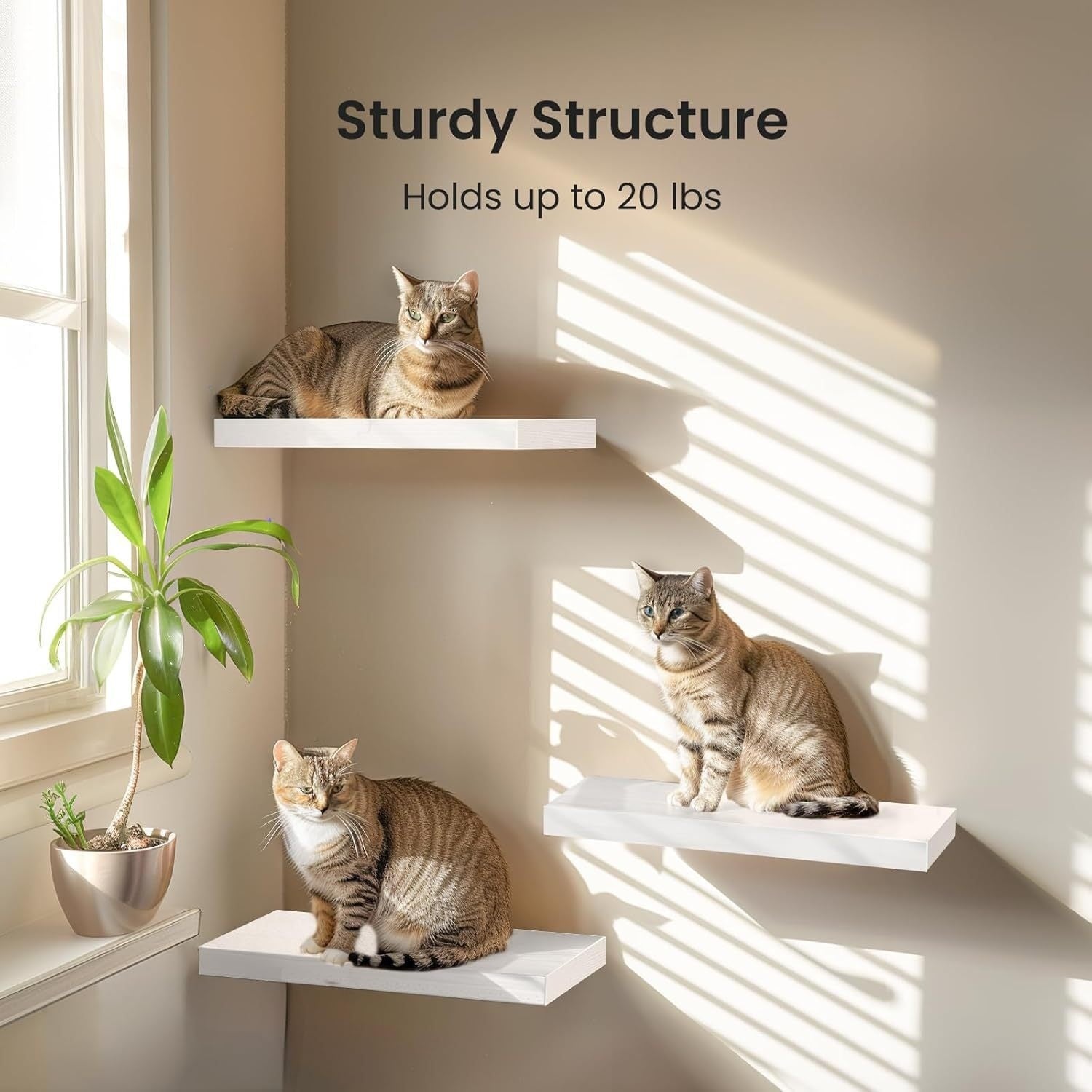 One-line Wall-mounted Floating Wall Shelf